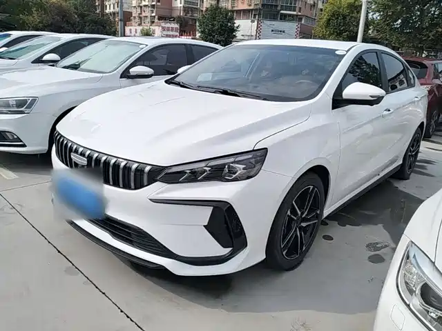 2024 Geely Binrui