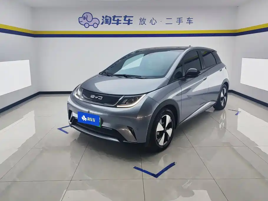 BYD Dolphin