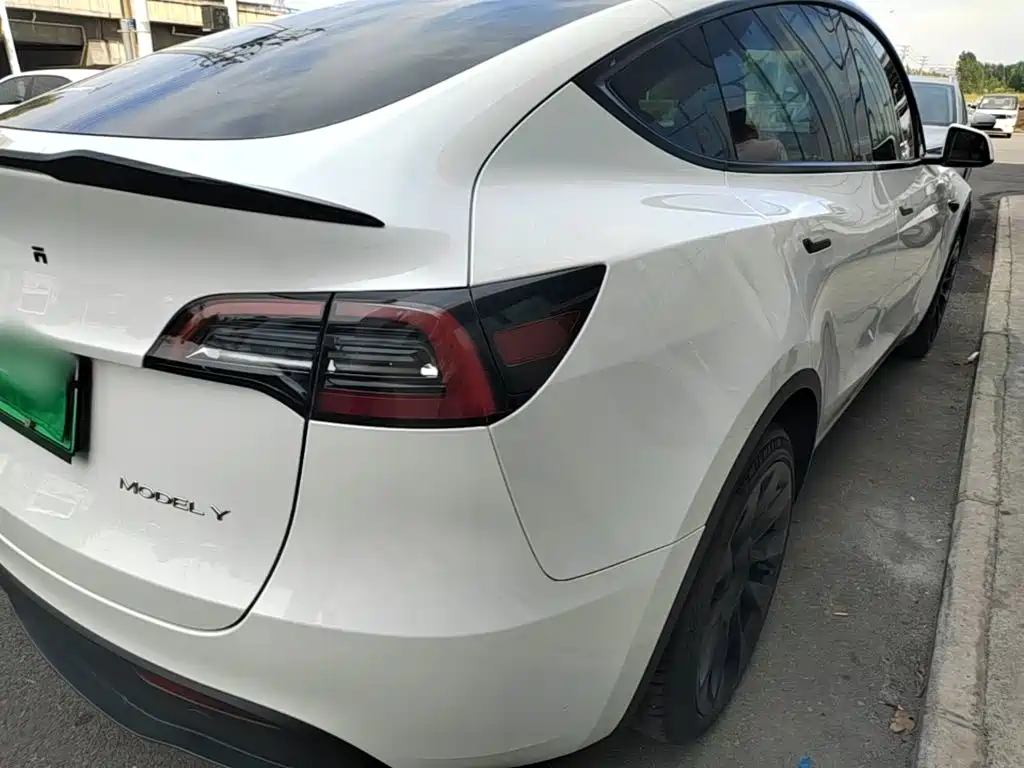 Tesla Model Y — миниатюра 8
