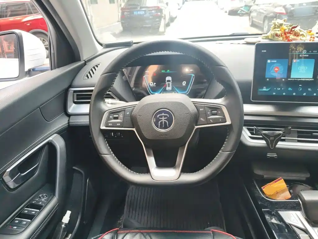 BYD Pro — миниатюра 11