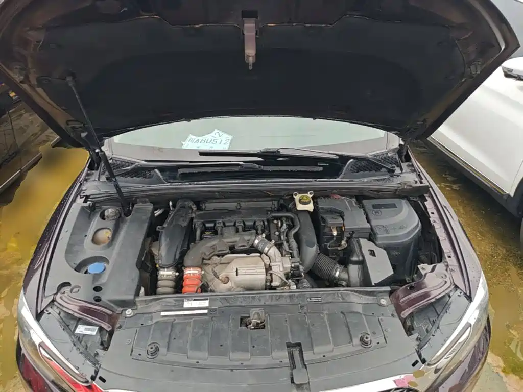 DS DS 5LS — миниатюра 20