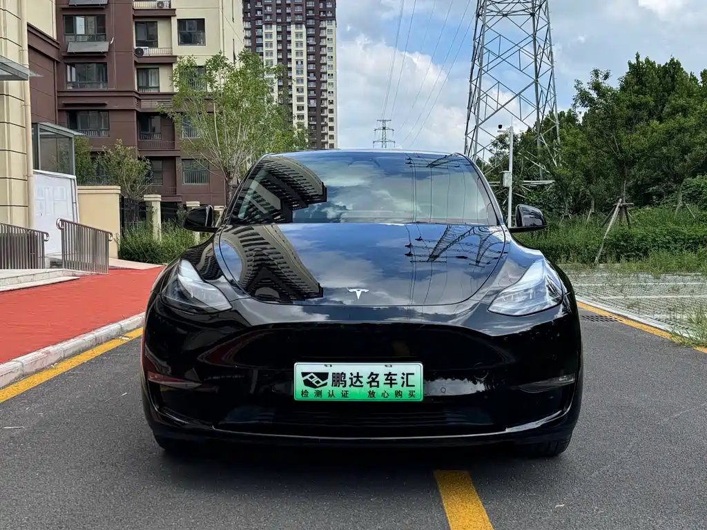 Tesla Model Y — миниатюра 2
