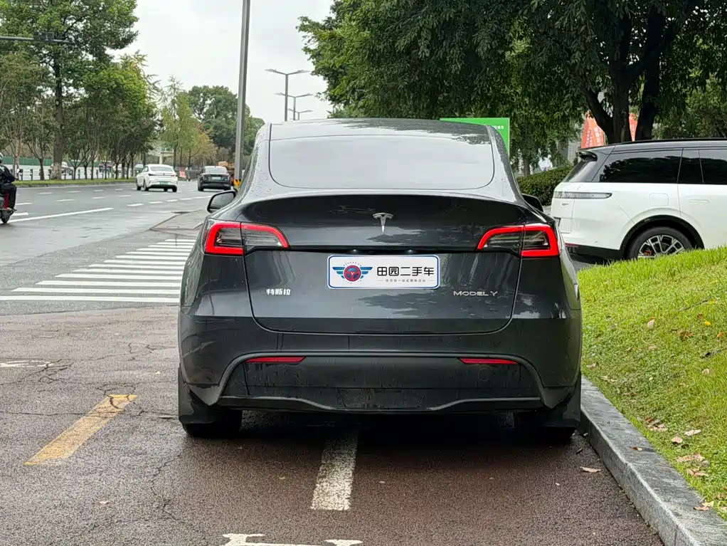 Tesla Model Y — миниатюра 5