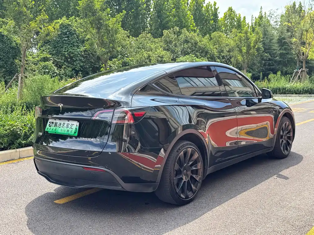 Tesla Model Y — миниатюра 7