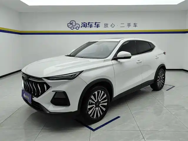 CHANGAN CHANGAN AUCHAN X5 2022