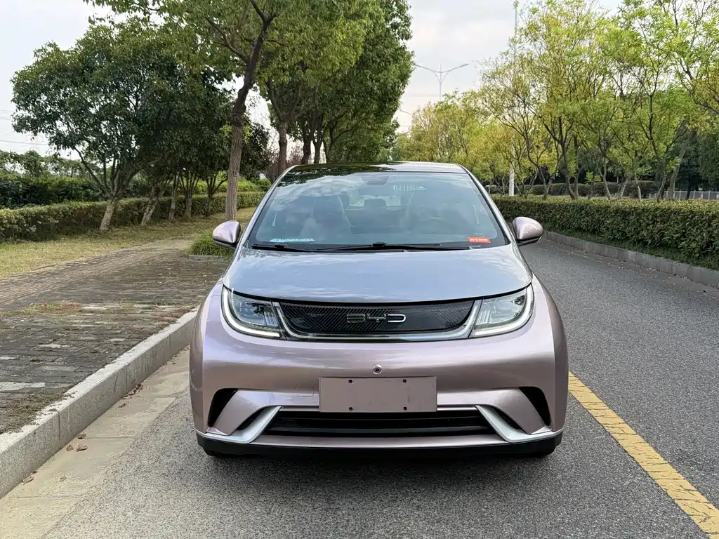 BYD Dolphin — миниатюра 2