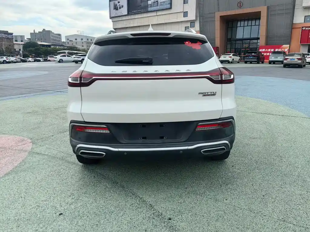 Leopaard Mattu — миниатюра 4
