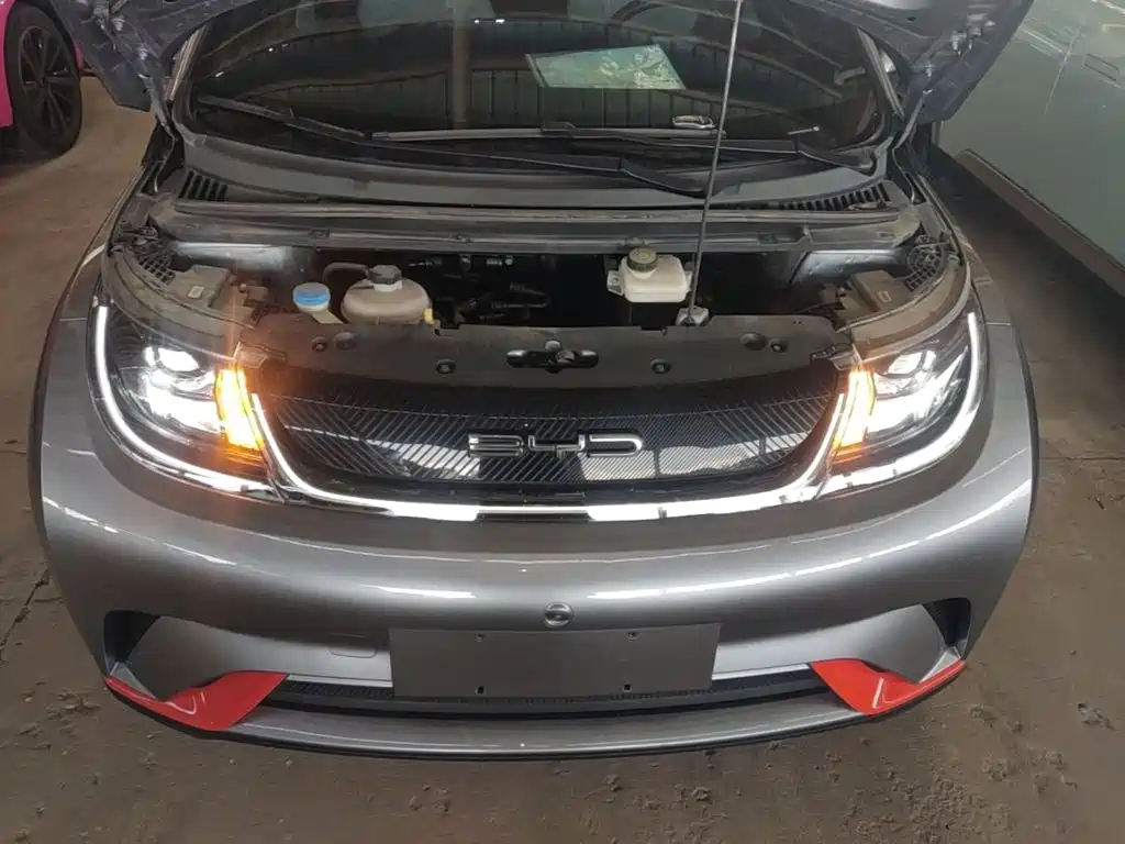 BYD Dolphin — миниатюра 20