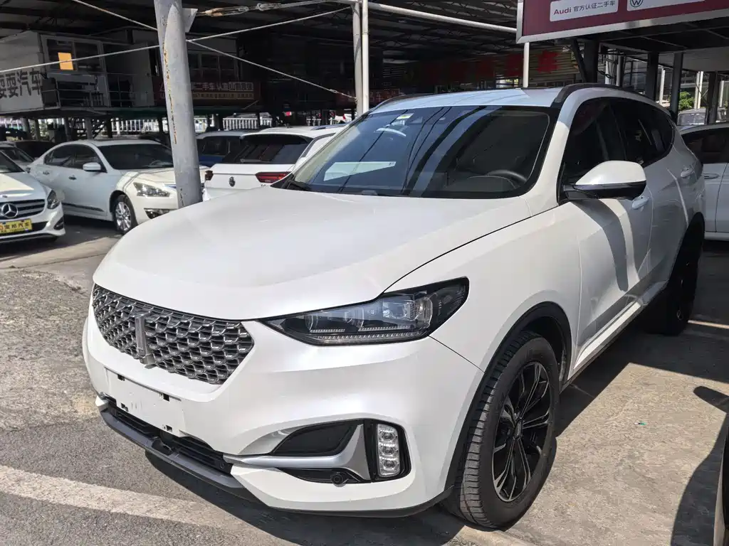 Wey Wey VV6 2021