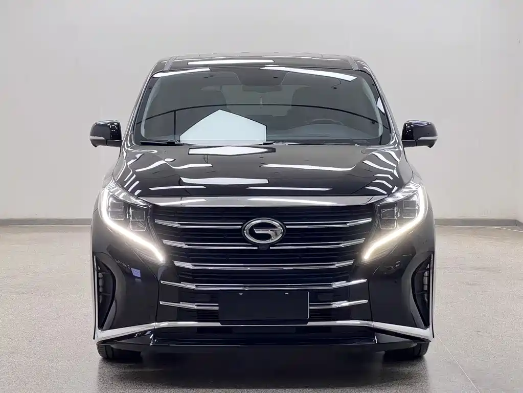 GAC Motor Trumpchi M8 — миниатюра 2