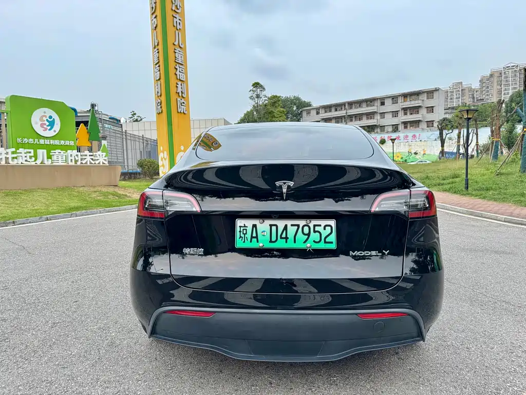 Tesla Model Y — миниатюра 13