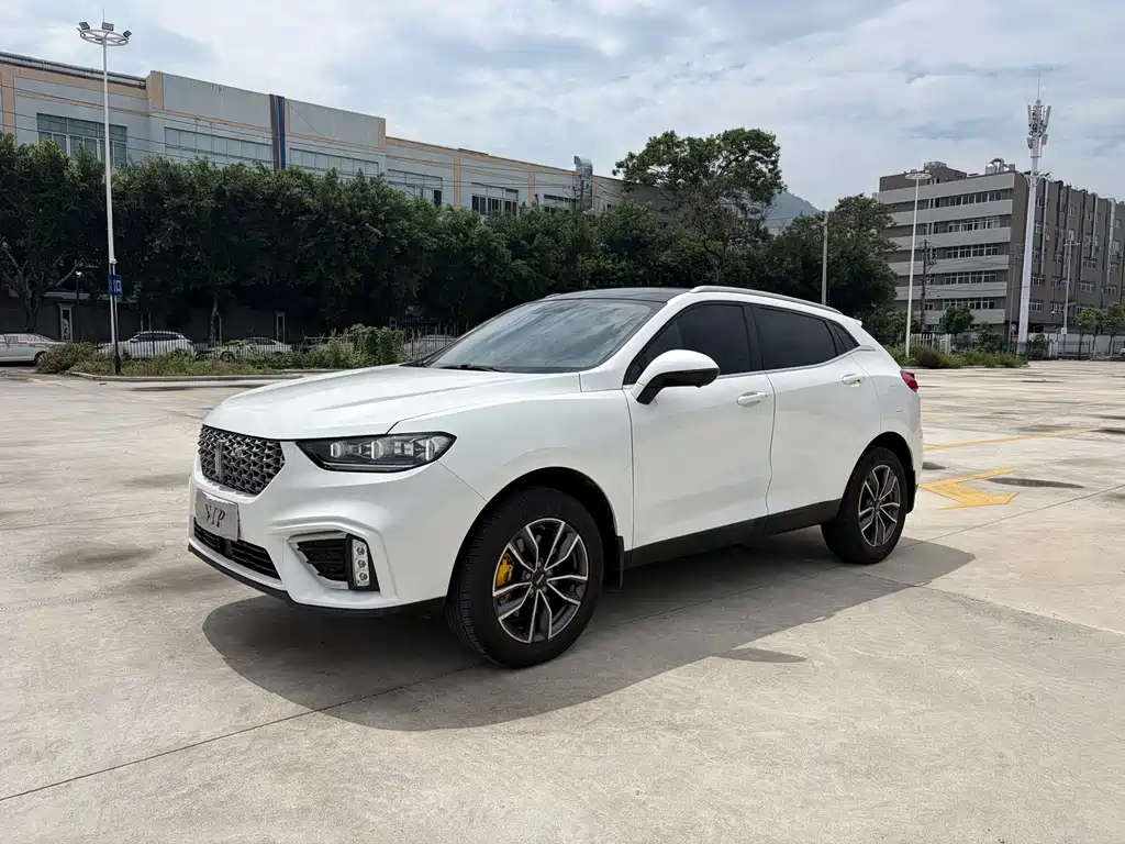 Wey Wey VV5