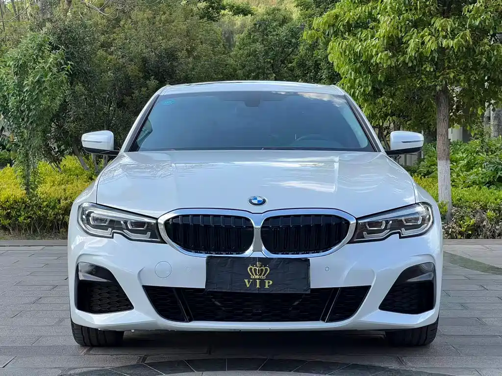 BMW 3 Series 3 2020 320Li M Sport