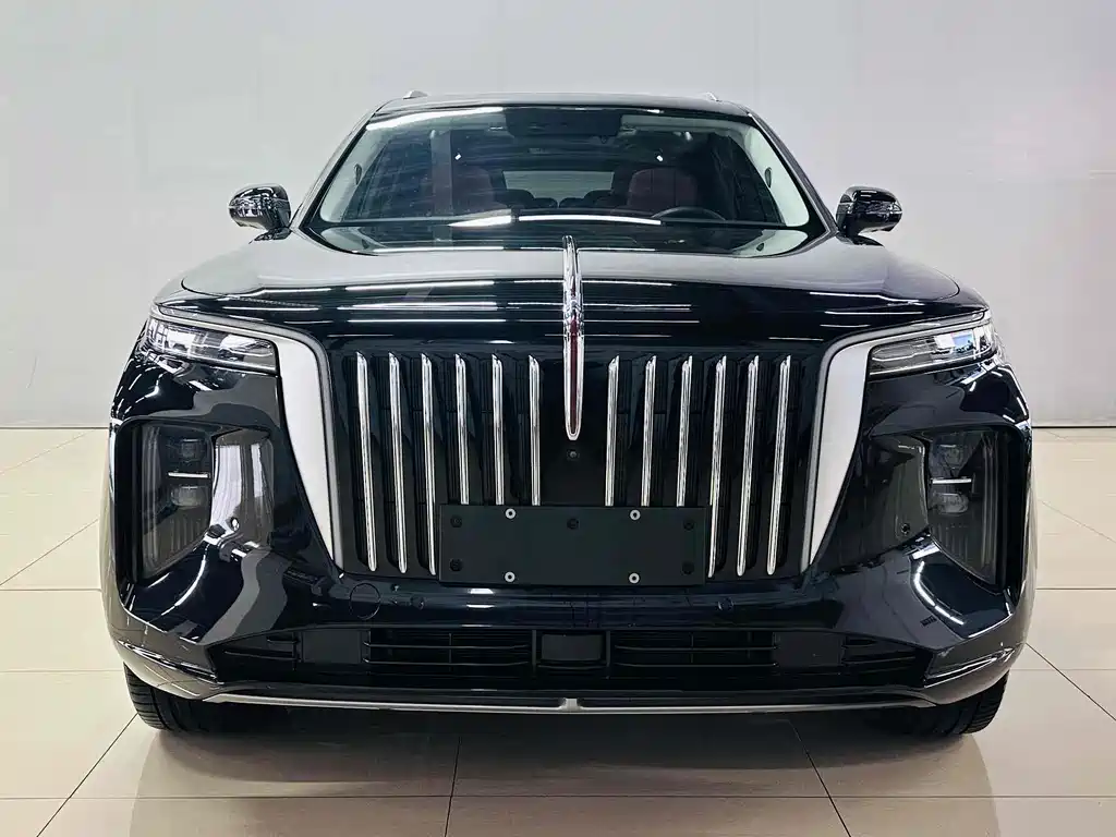 Hongqi HONGQI E HS9