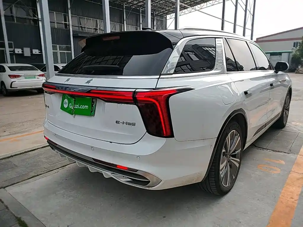 Hongqi E-HS9 2022 660km мест