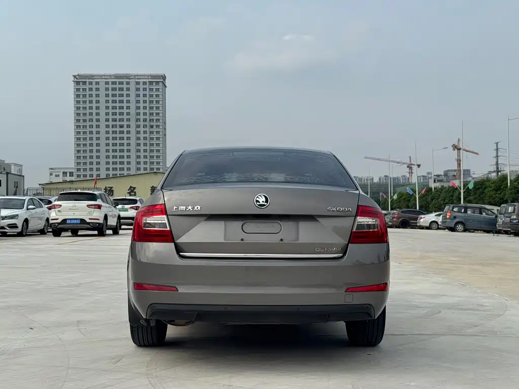 Skoda Octavia — миниатюра 4