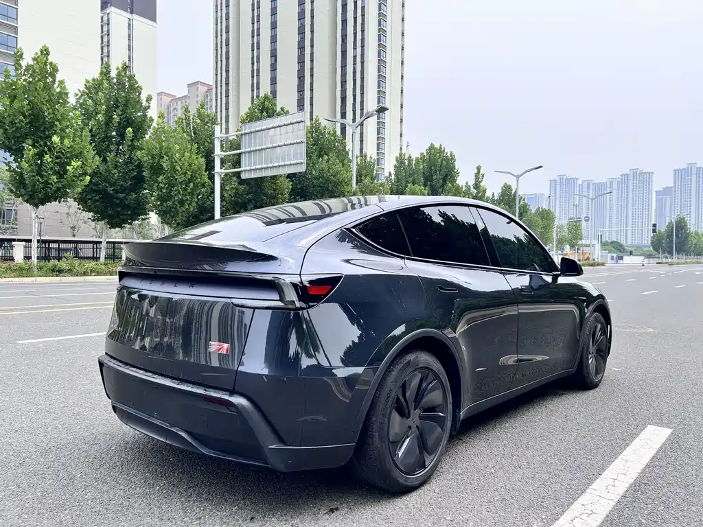 Tesla Model Y — миниатюра 13