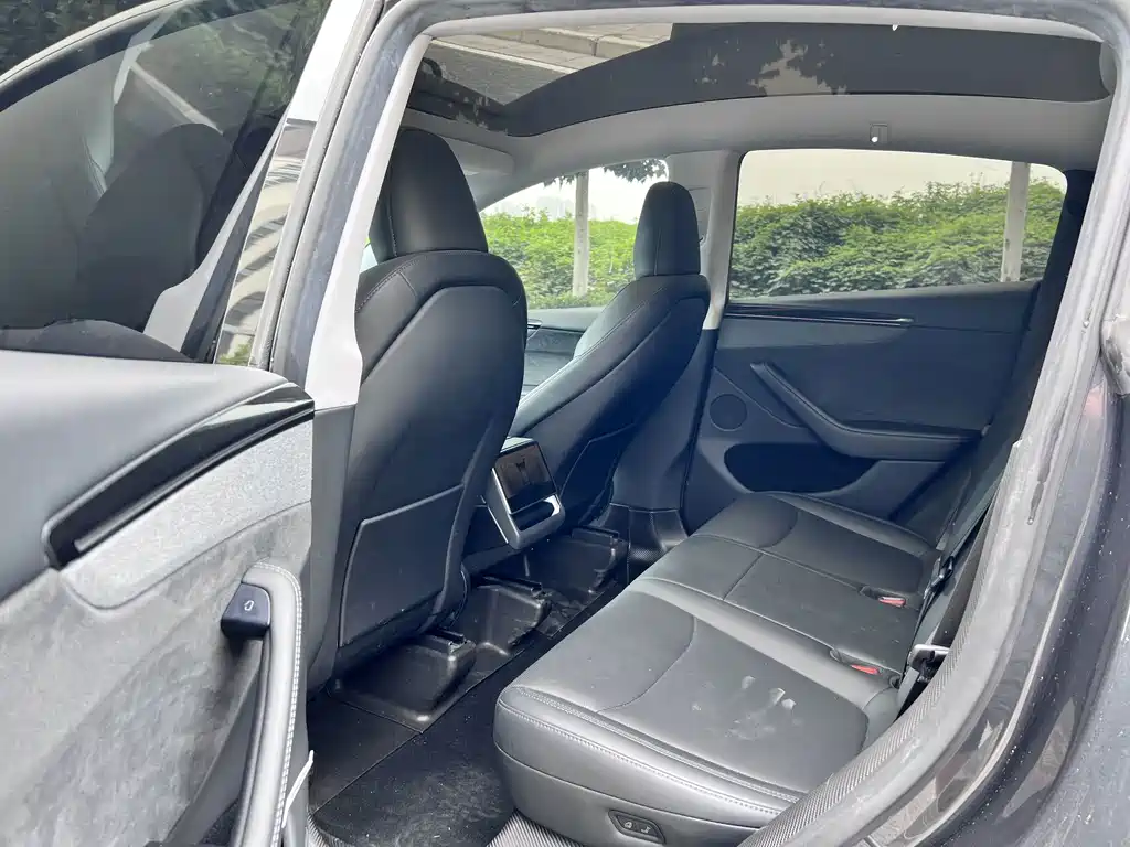 Tesla Model Y — миниатюра 7