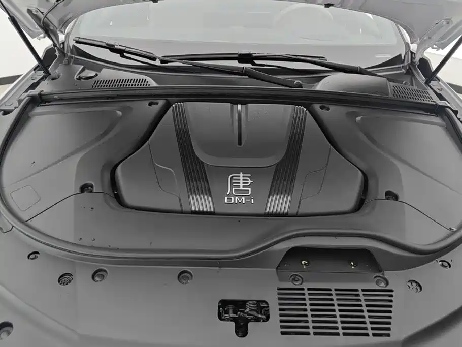 BYD Tang New Energy — миниатюра 10