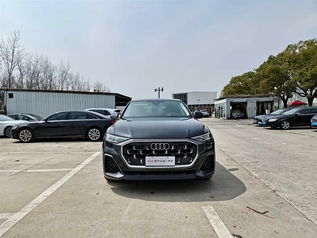 Audi Q8 2024 55 TFSI Luxury