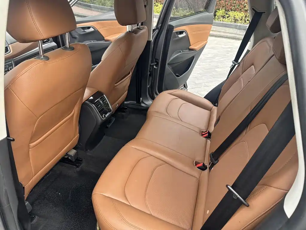 Borgward BX7 — миниатюра 13