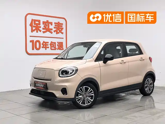 2021 Leapmotor T03