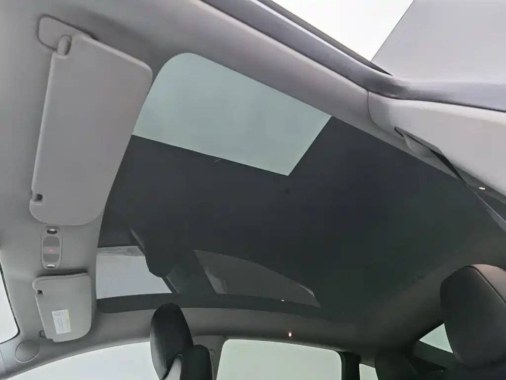 Tesla Model Y — миниатюра 14