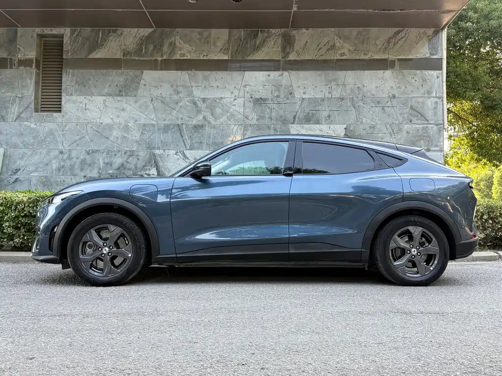 Ford Mustang Mach-E — миниатюра 7