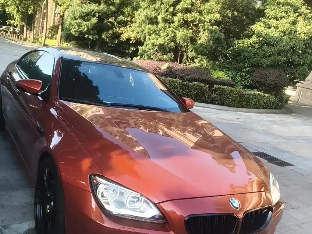 BMW M6 M6 Gran Coupe 马年限量版, фото 3