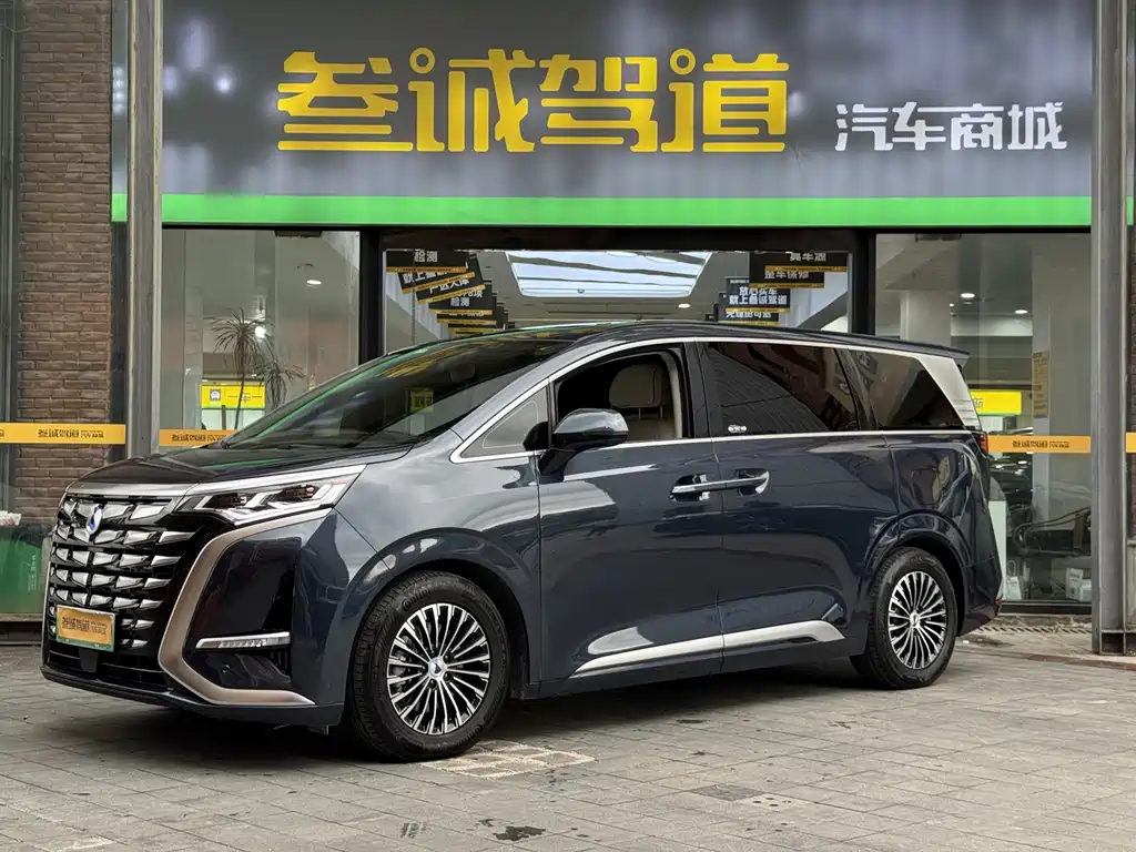 Denza Denza D9