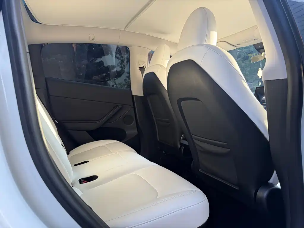 Tesla Model Y — миниатюра 6