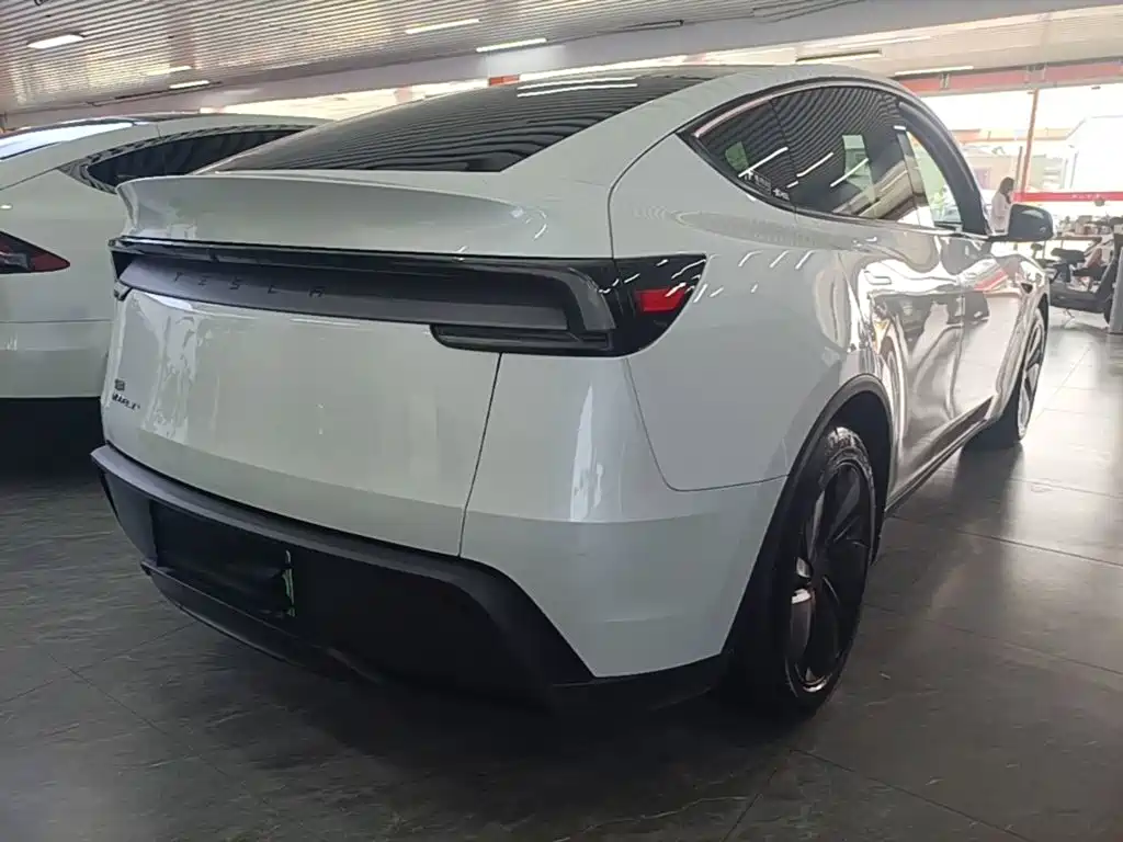 Tesla Model Y — миниатюра 7