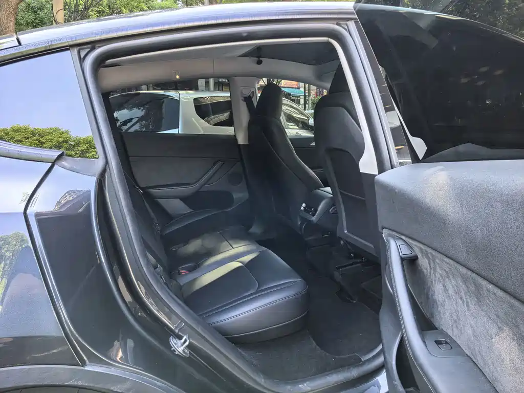 Tesla Model Y — миниатюра 7