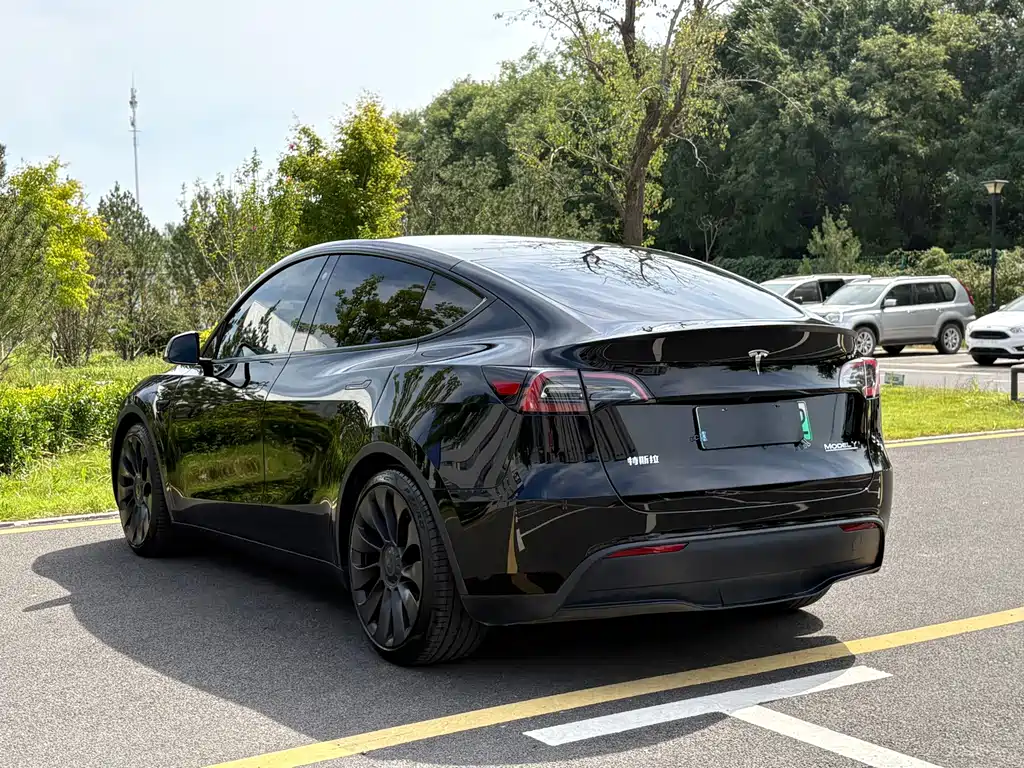 Tesla Model Y — миниатюра 6