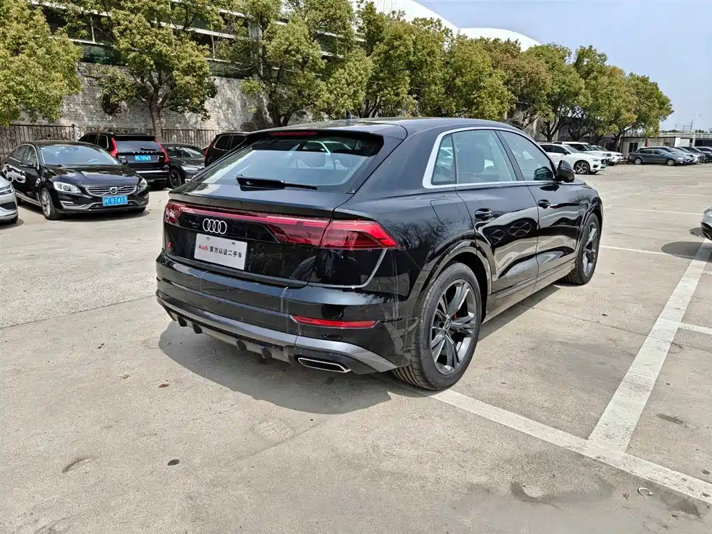 Audi Q8 2024 55 TFSI Luxury