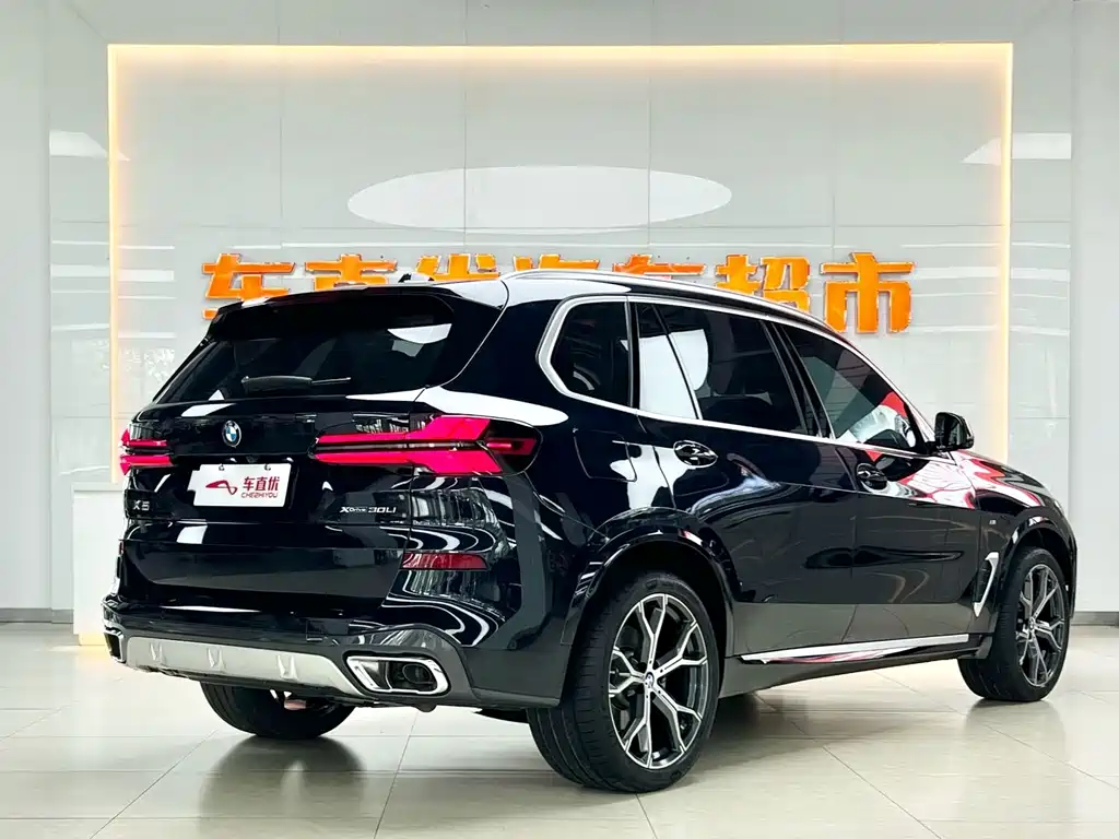 BMW X5 — миниатюра 5