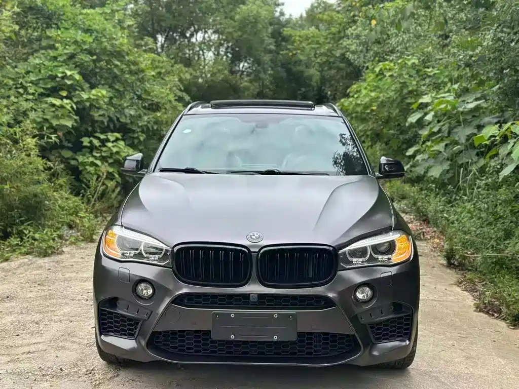 BMW X5 (Import) — миниатюра 33