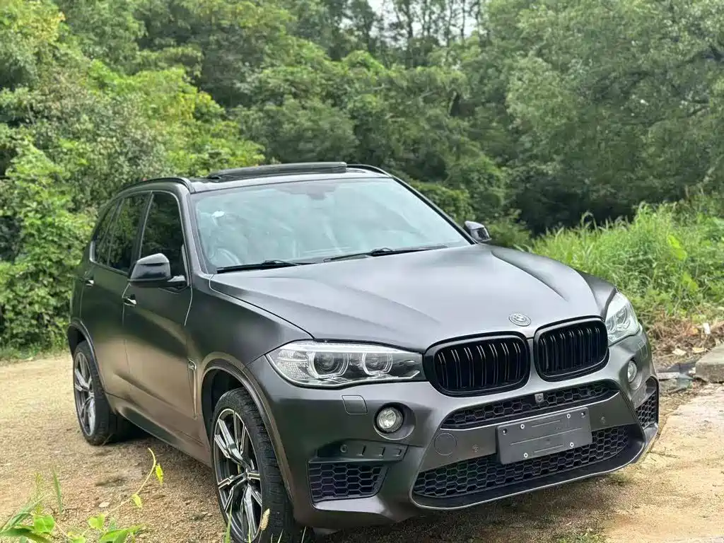 BMW X5 (Import) — миниатюра 2