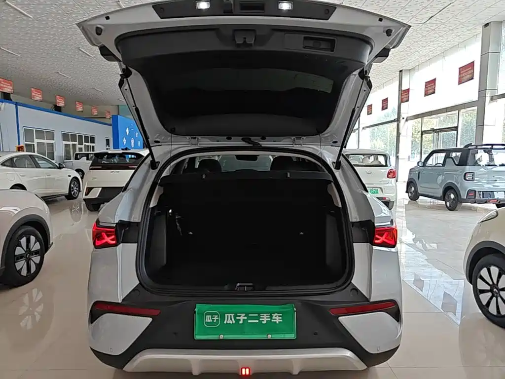 BYD Yuan Plus — миниатюра 19