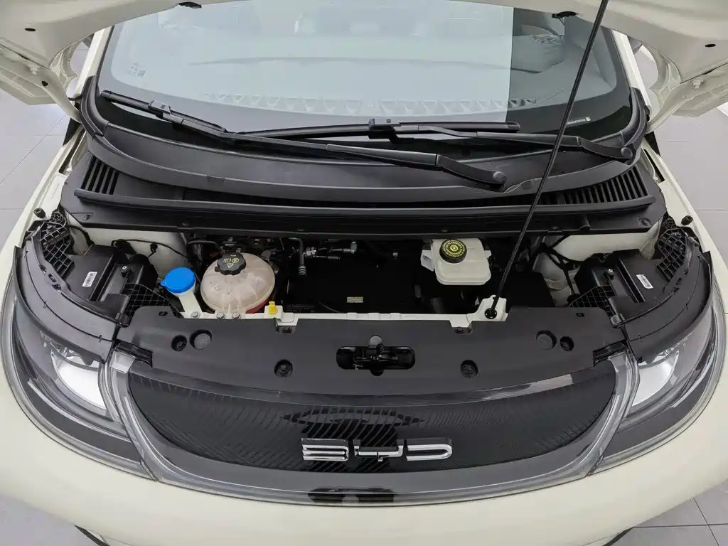 BYD Dolphin — миниатюра 6
