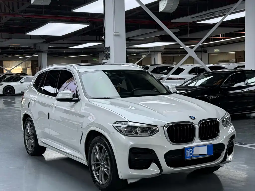 BMW X3 — миниатюра 3