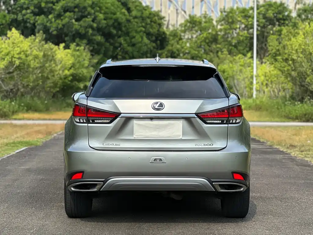 Lexus RX — миниатюра 17