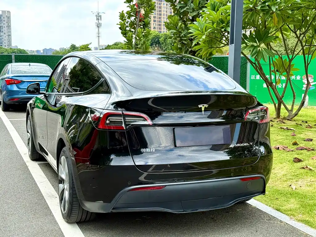 Tesla Model Y — миниатюра 7