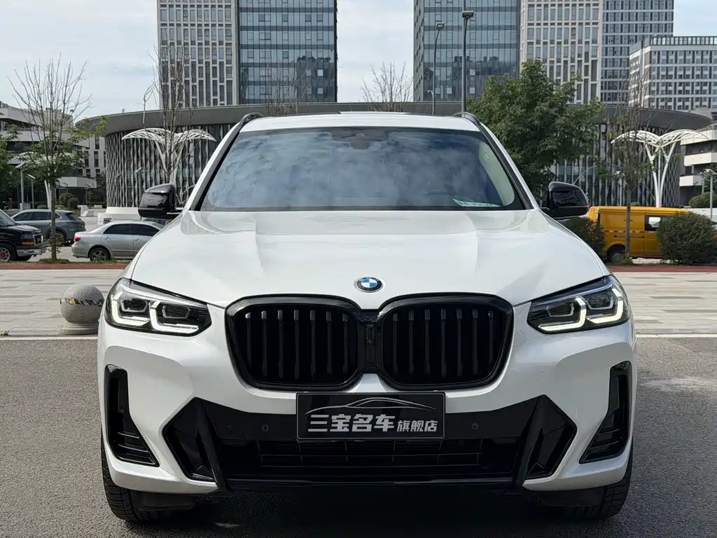 BMW X3 — миниатюра 2