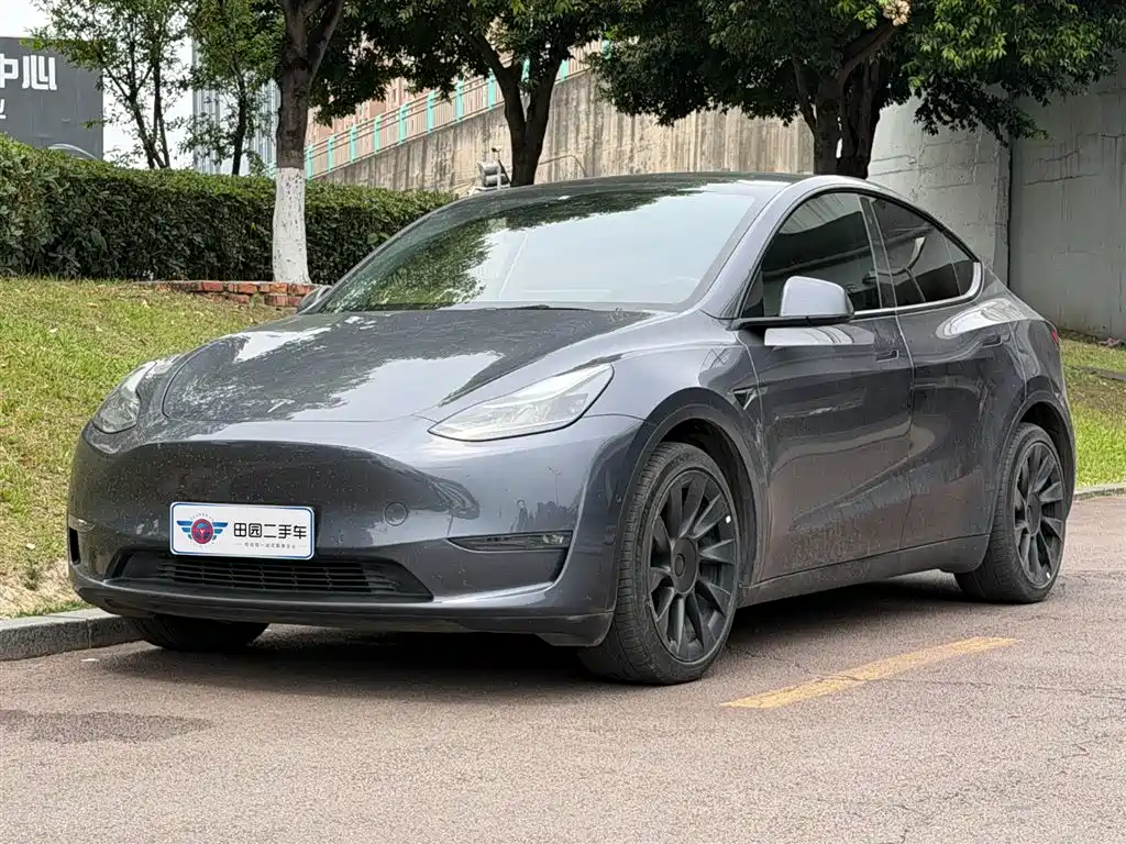 Tesla Model Y 2021