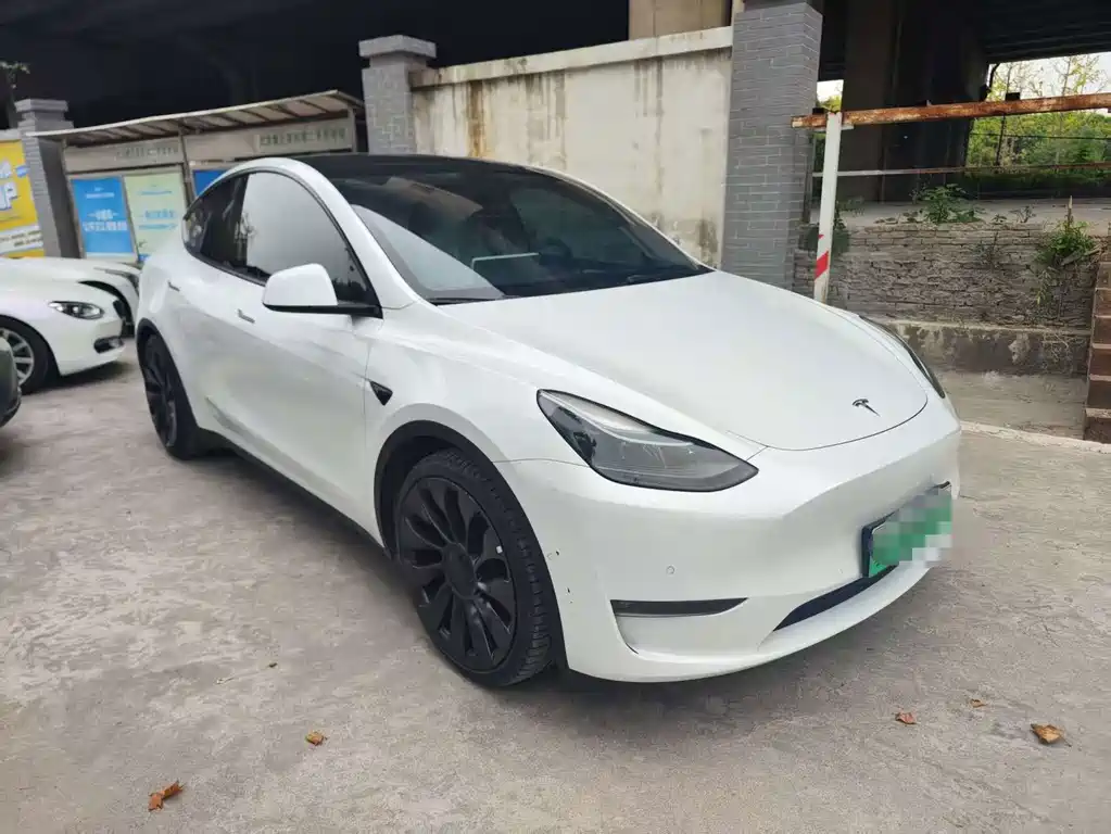 Tesla Model Y — миниатюра 3