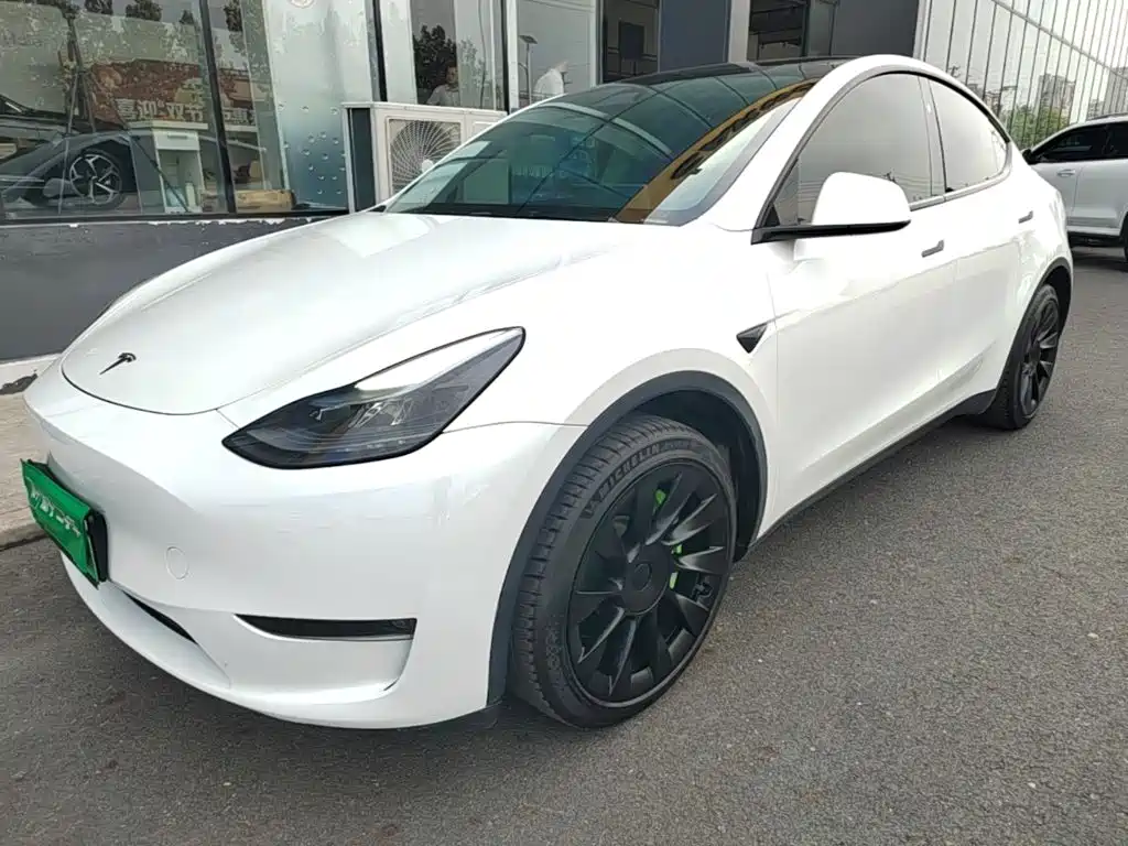 Tesla Model Y — миниатюра 2