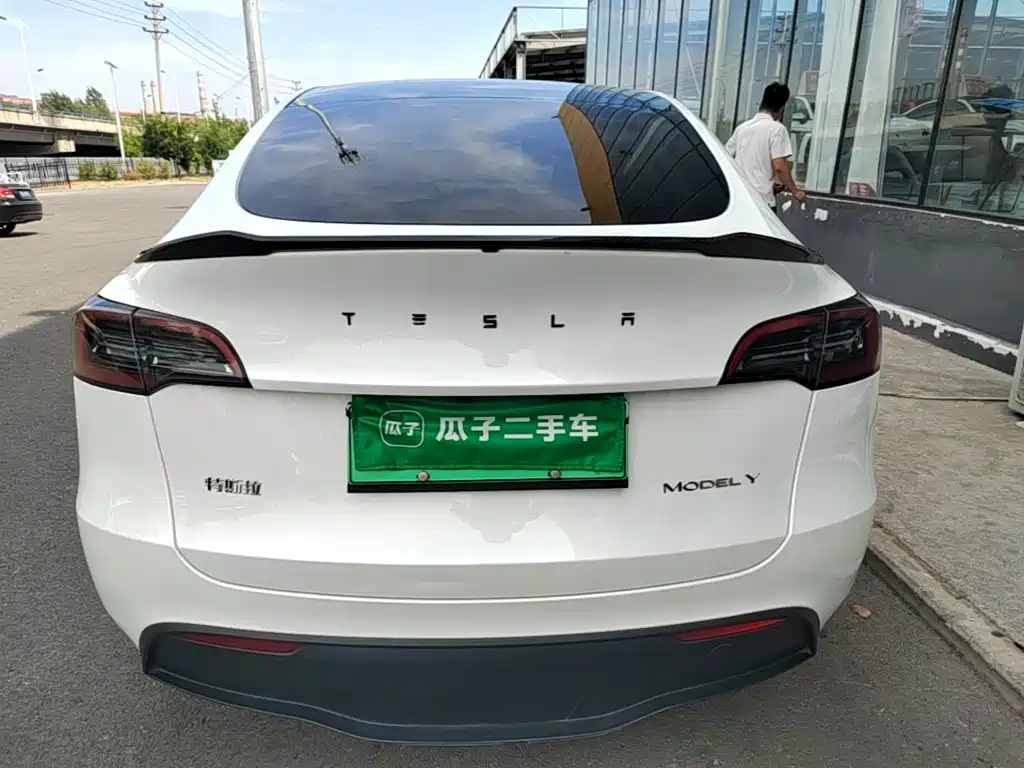 Tesla Model Y — миниатюра 6