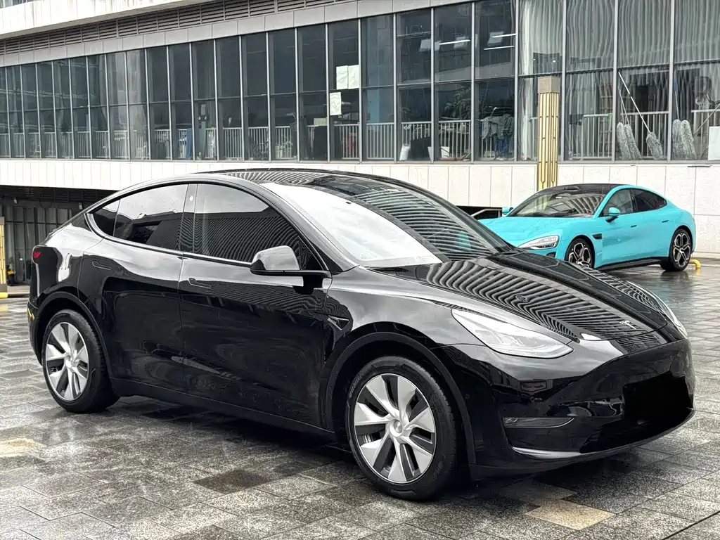 Tesla Model Y — миниатюра 2