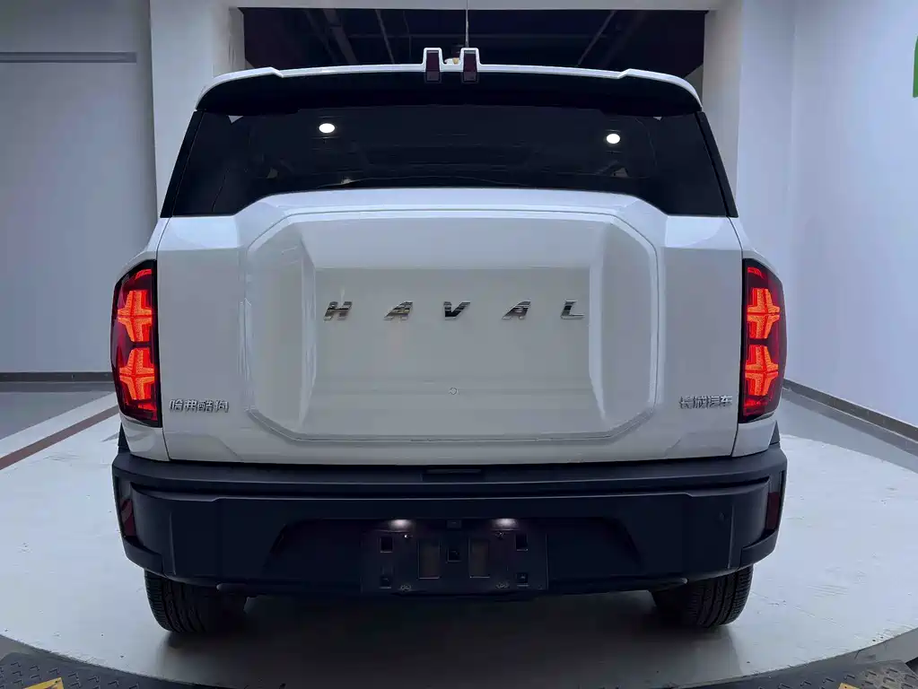 Haval Cool Dog — миниатюра 3